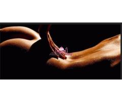 massaggi erotici, stimolanti, decontratturanti emozionali rilassanti Lingam ecc 3888725603